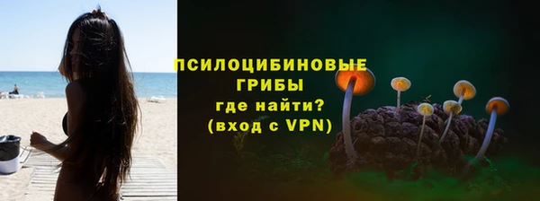 2c-b Абдулино