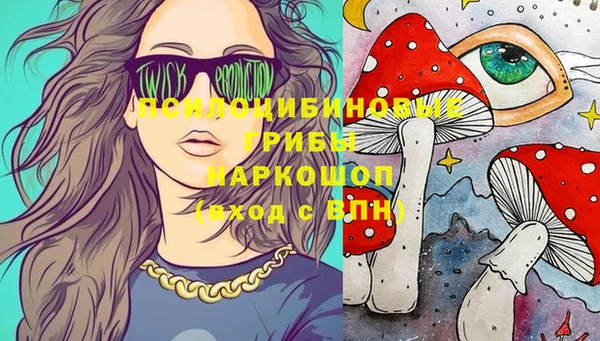 стафф Абаза
