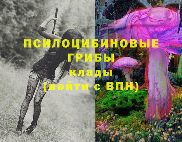 2c-b Абдулино