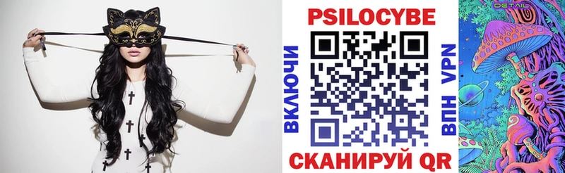 Галлюциногенные грибы Psilocybe Карасук